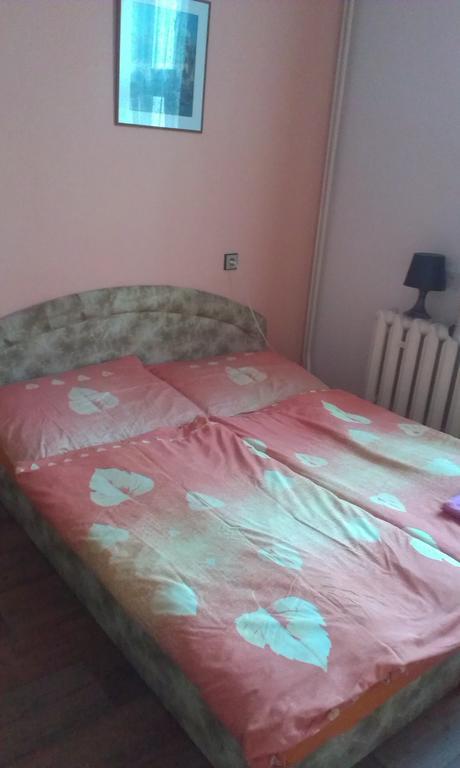 Pension Doctor Dvur Kralove nad Labem Room photo